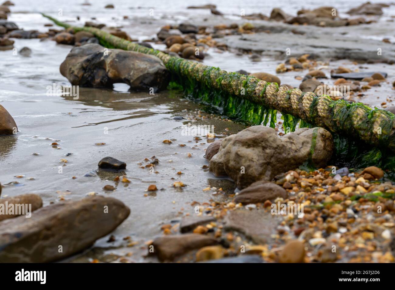 Una vecchia corda coperta di alghe si estende dal litorale al mare Foto Stock