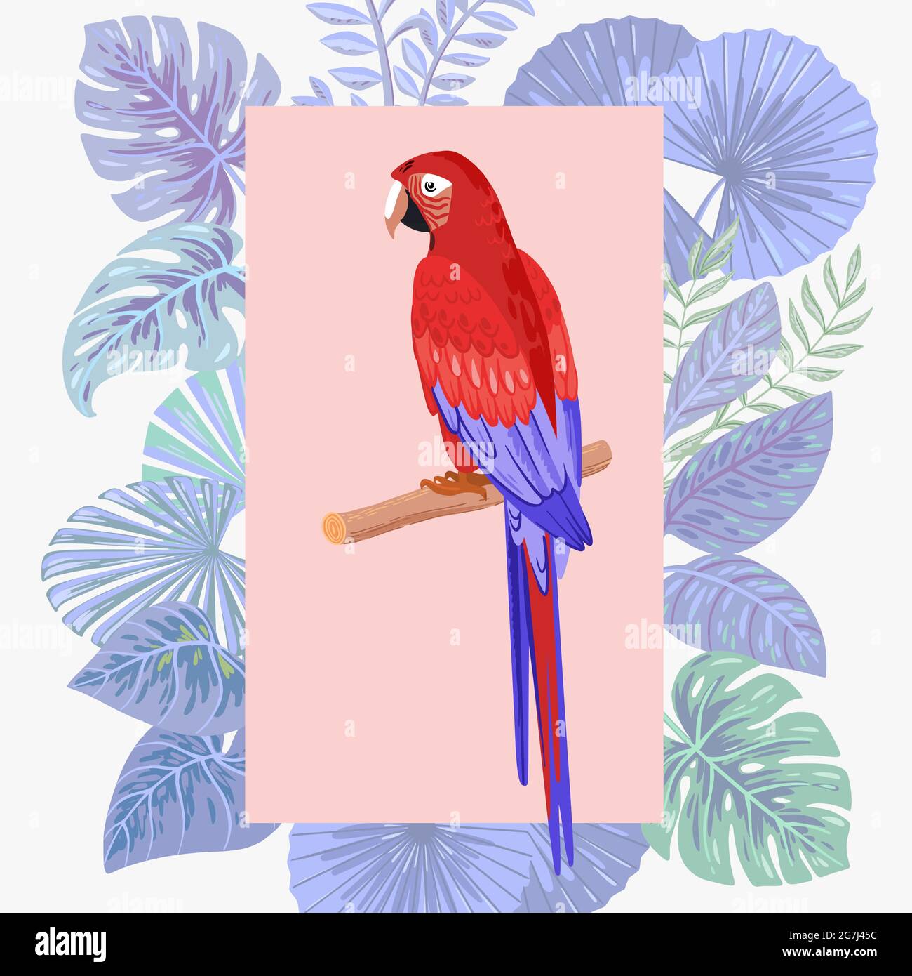 Pappagallo di Macaw su uno sfondo di foglie tropicali Illustrazione Vettoriale