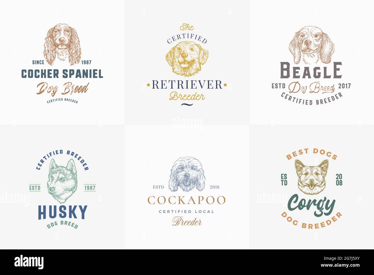 Razze di cani Badges o Logo Templates Collection. Disegni a mano Spaniel, Corgy, Beagle, Retriever e Husky Dogs volti schizzi con tipografia e bordi Illustrazione Vettoriale
