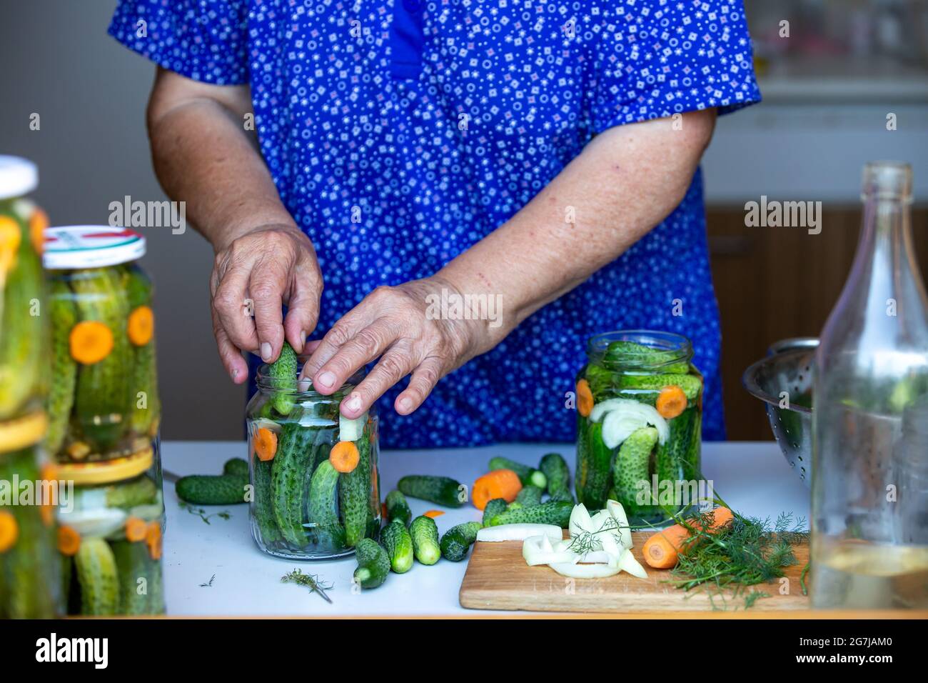 Processo di inscatolamento fatto in casa fresco, cetrioli bio ad un vasetto da donna anziana, concetto di cibo Foto Stock