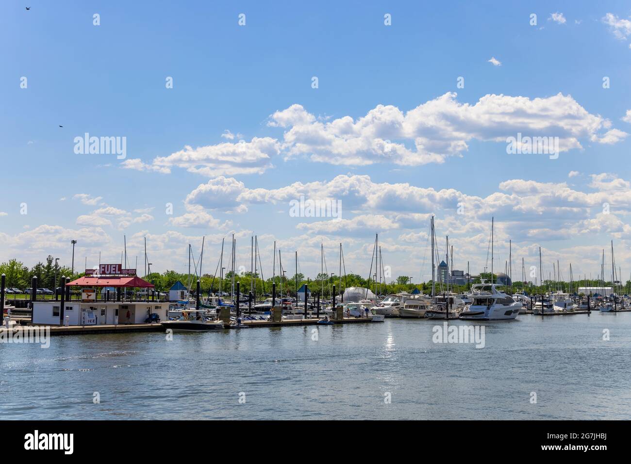 Molte navi ancora in Liberty Landing Marina a Jersey City NJ Foto Stock