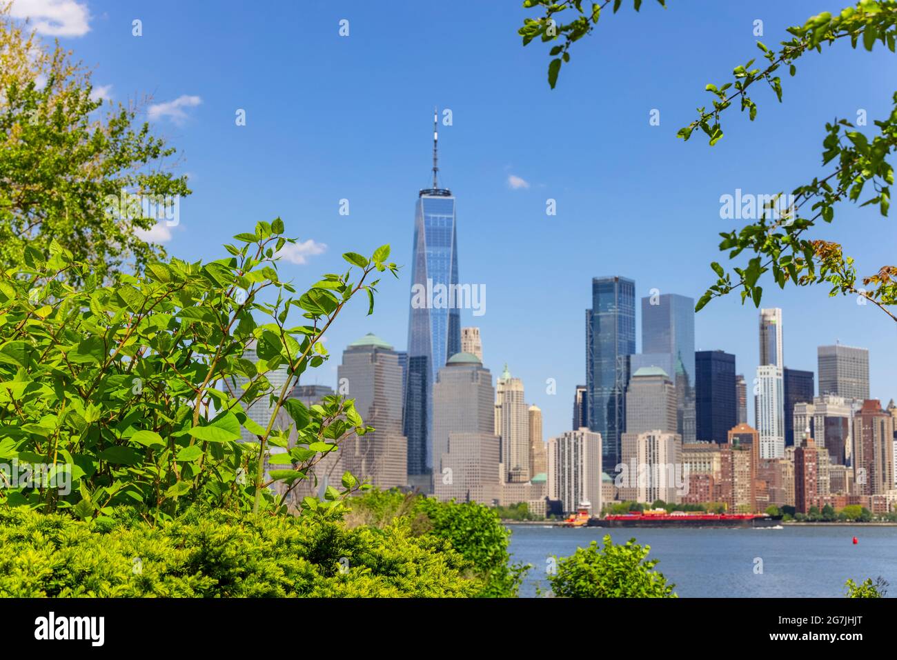 Il grattacielo di Lower Manhattan si erge oltre i crescenti alberi verdi in Jersey City NJ Foto Stock