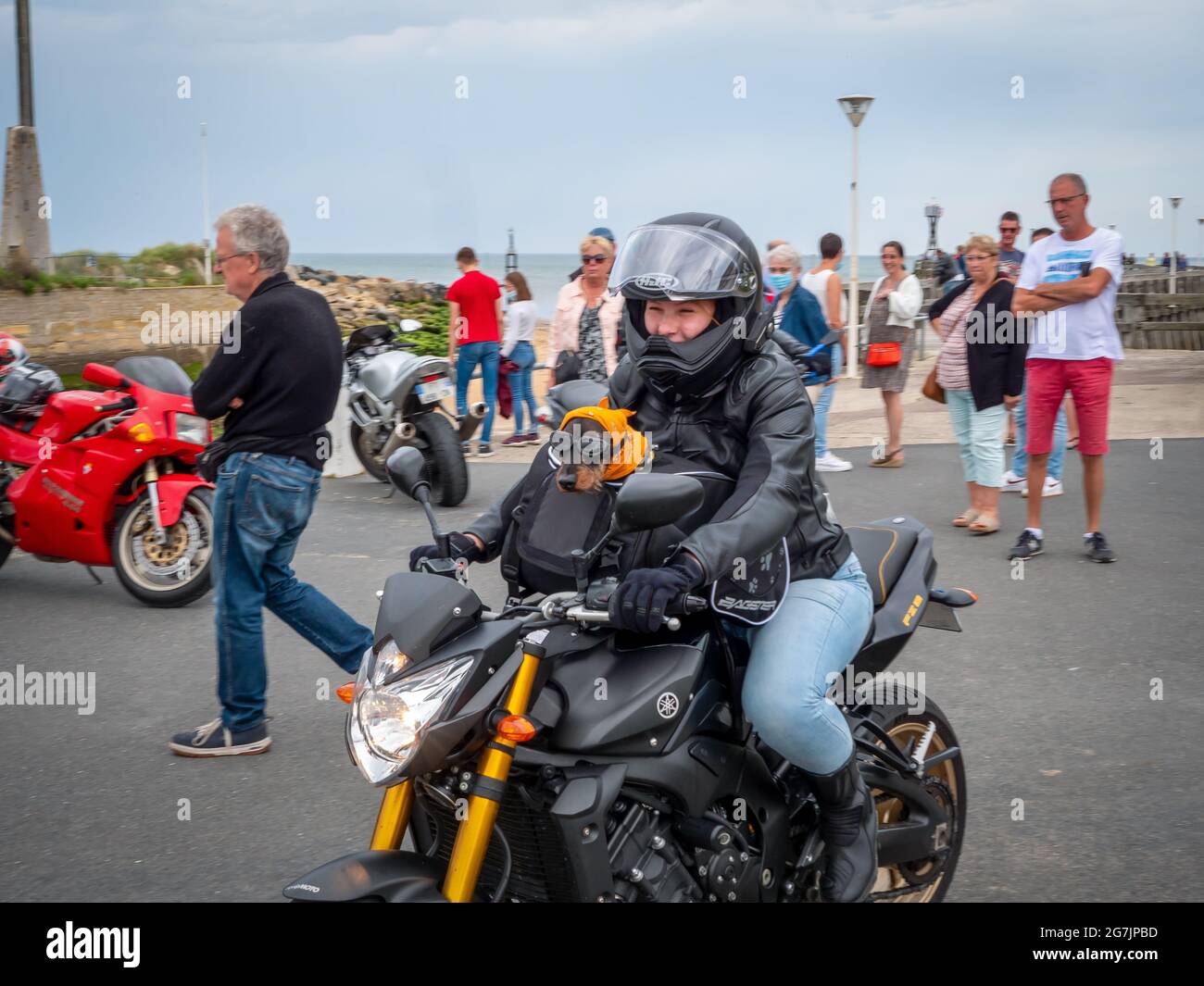 Courseulles-sur-Mer, Francia 2021 luglio. Una donna che sorride in un casco su una motocicletta con un cane che ama il motociclismo, un cane che indossa occhiali Foto Stock