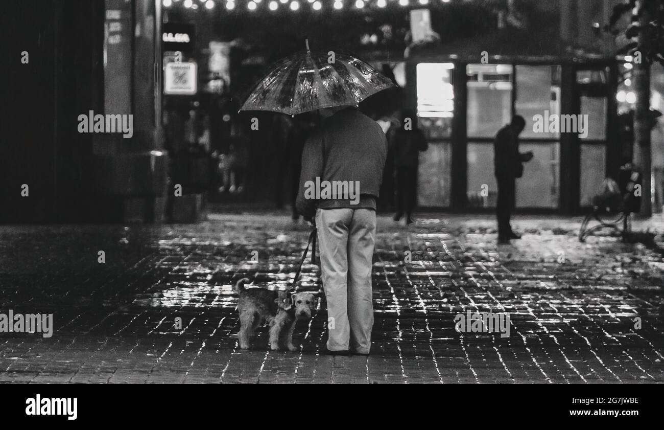 Cane protetto da un uomo che tiene un ombrello sotto la pioggia - migliori amici. Foto in scala di grigi dell'uomo in giacca nera e pantaloni Foto Stock