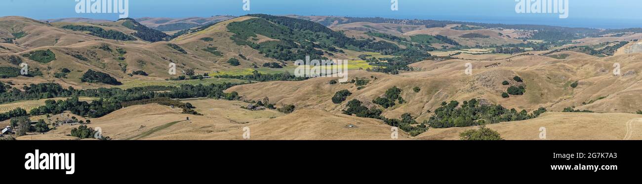 Cambria, CA, USA - 8 giugno 2021: Panorama sul retro paese con fattoria e ranch terra e macchie di alberi verdi. Campo di semi di senape giallo in Foto Stock