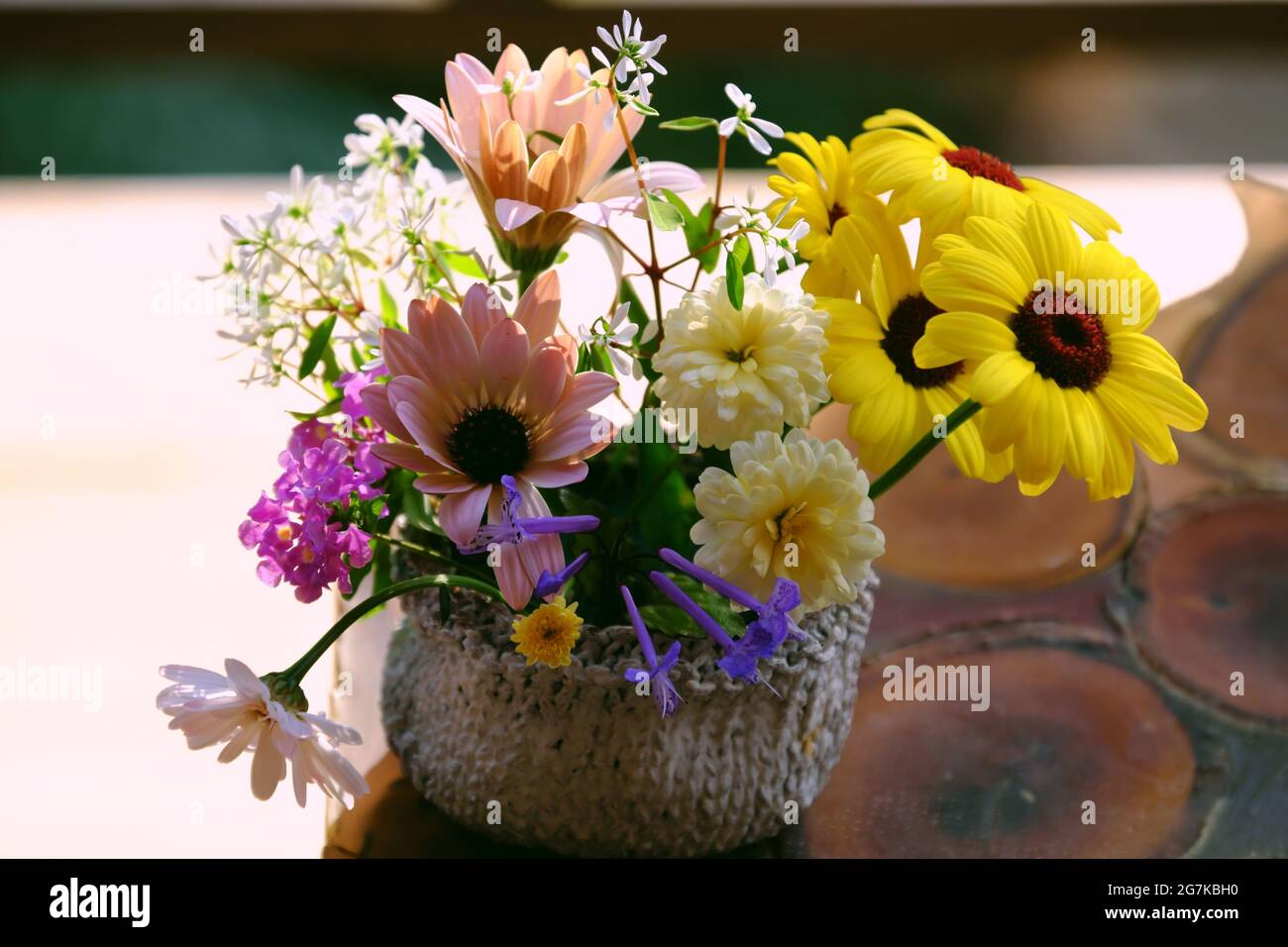 Bella vaso di fiori colorati con varietà margherita fioritura su legno cornice finestra di casa per l'arredamento in primavera Foto Stock
