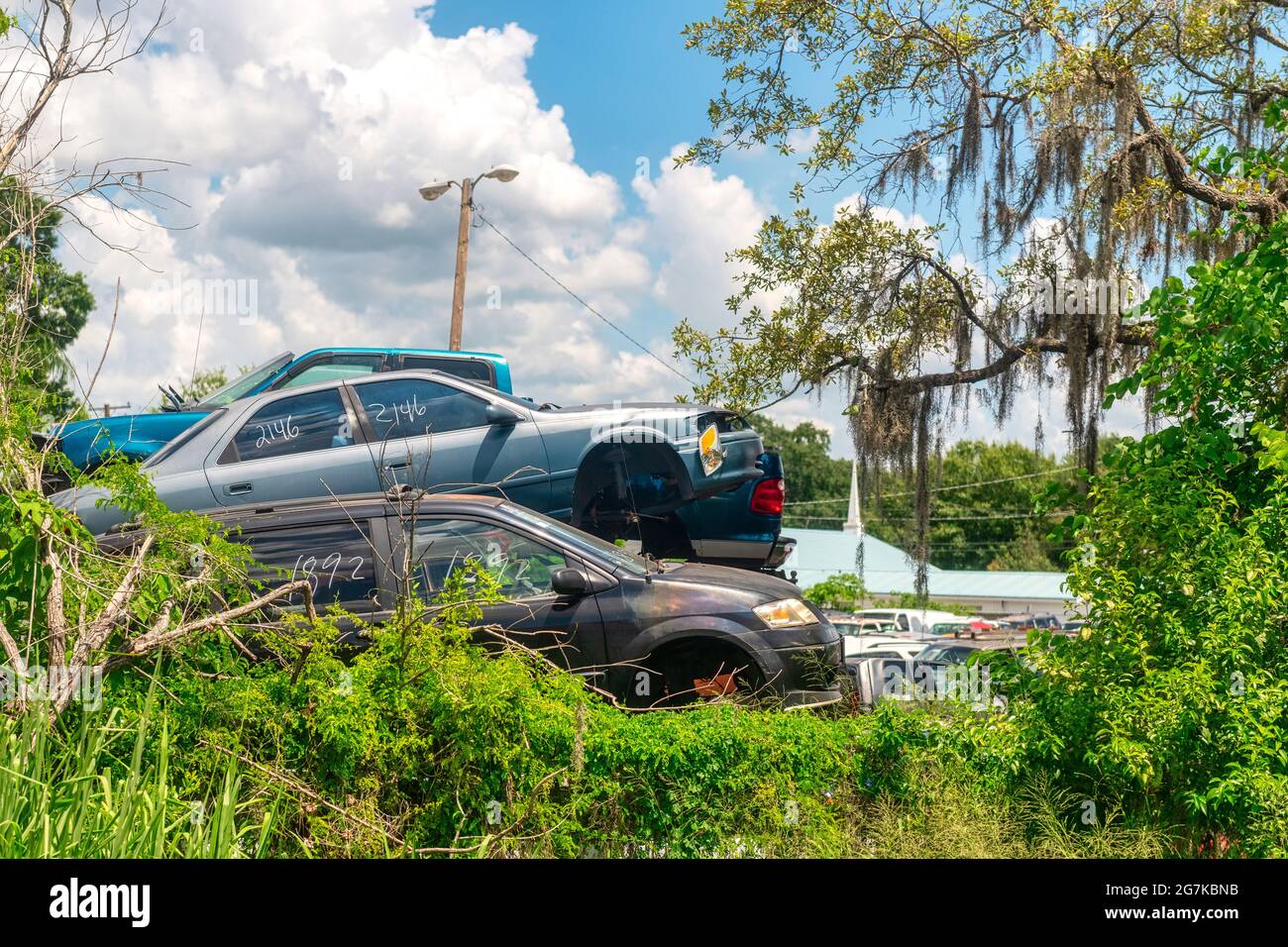 Immagini di viaggio della Florida state, USA, 2019 Foto Stock