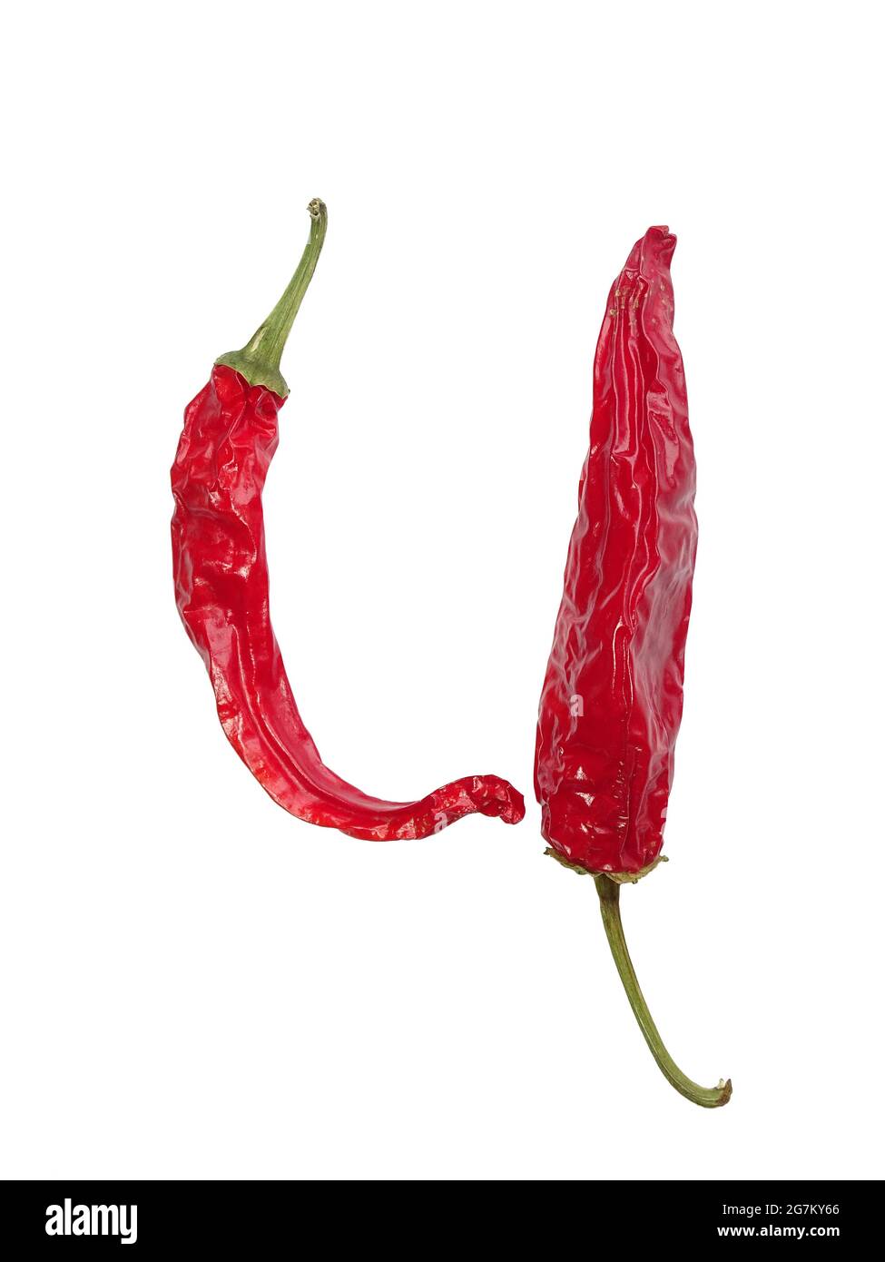 Lettera U dell'alfabeto a base di pepe rosso, isolata su fondo bianco Foto Stock