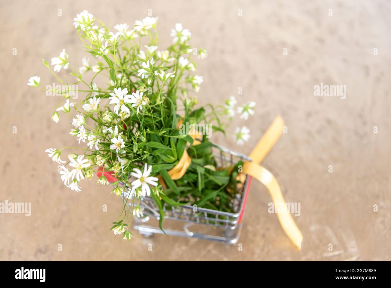 Bouquet di fiori selvatici nel carrello giocattolo sulla tavola beige Foto Stock