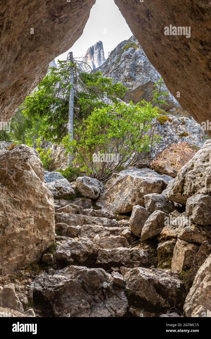 Labirinto di roccia sotto le montagne Latemar, Dolomiti, Alto Adige Foto Stock