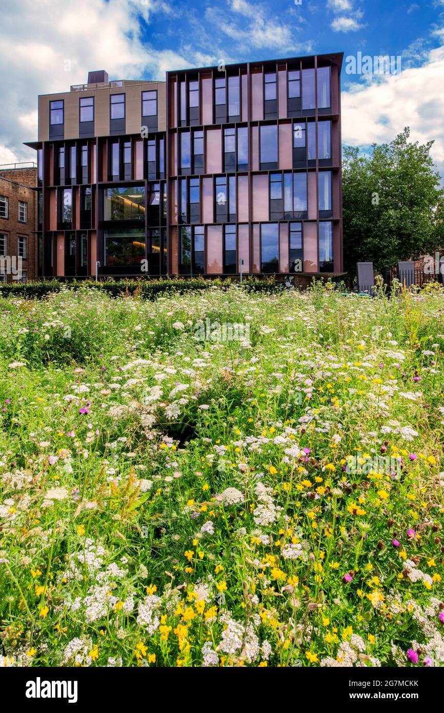 The Beecroft Building visto dai Parchi universitari di Oxford; parte del dipartimento di fisica di Oxford. Progettato da Hawkins/Brown, aperto nel 2018 Foto Stock