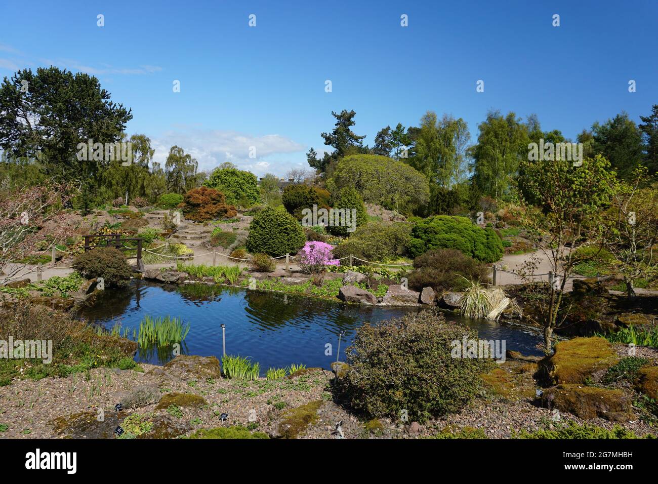 Giardini botanici di Edimburgo Foto Stock