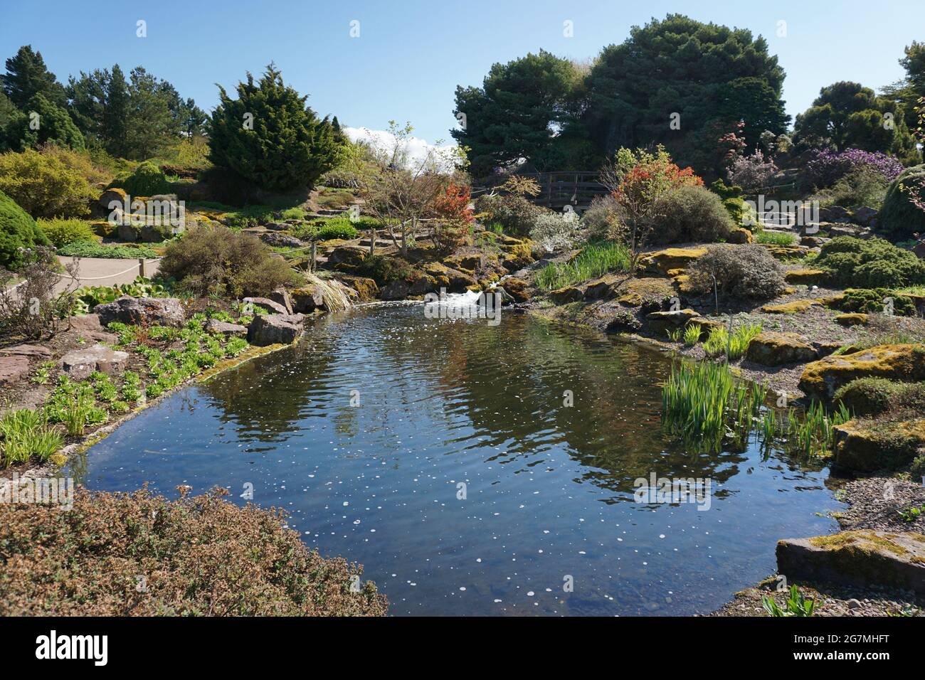 Giardini botanici di Edimburgo Foto Stock