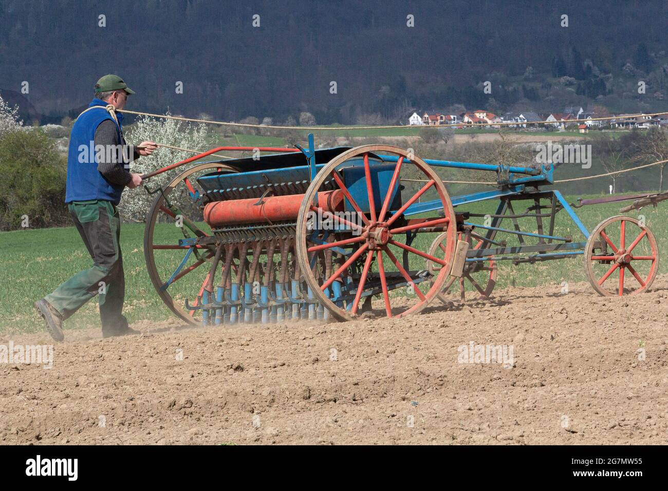 Cavalli che lavorano in agricoltura Foto Stock