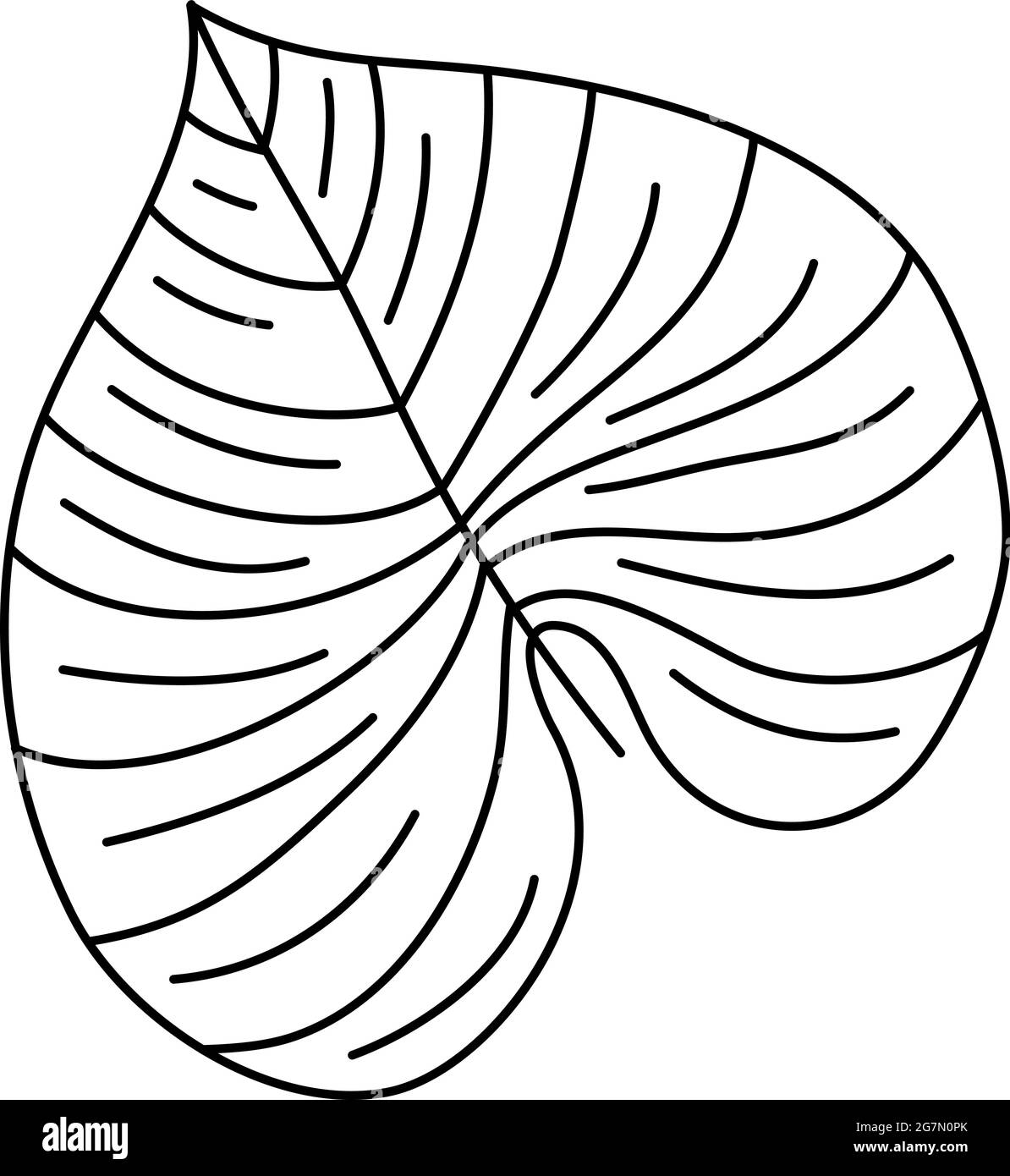 Vettore monolina singolo disegnando pianta esotica di monstera di foglia tropicale. Concetto decorativo stampabile di houseplant per ornamento domestico del manifesto di decorazione della parete Illustrazione Vettoriale