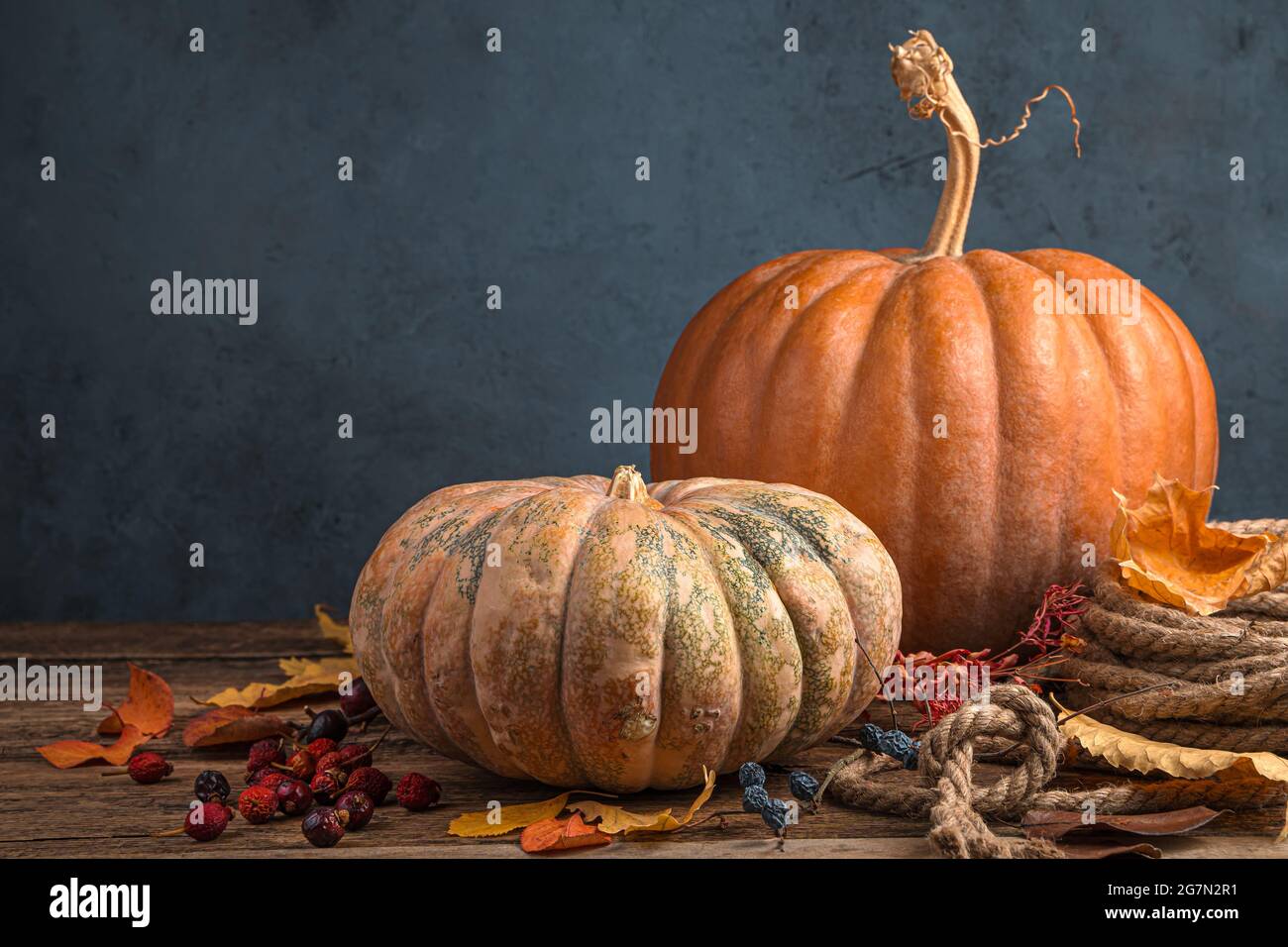 Zucche e foglie autunnali su sfondo blu scuro. Il concetto di vacanze autunnali, Ringraziamento, Halloween. Foto Stock