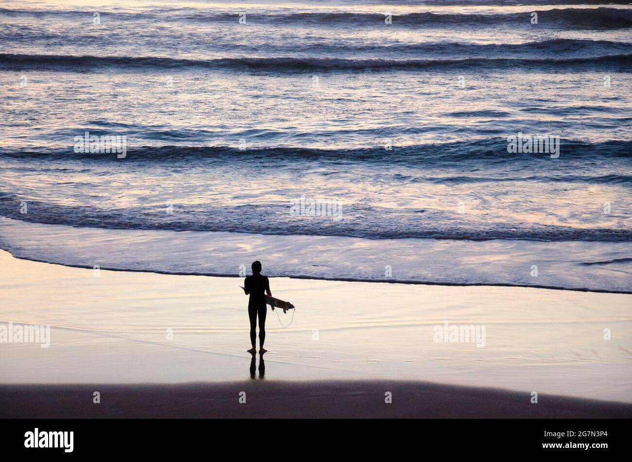 FRANCIA. PIRENEI ATLANTICI (64) BIARRITZ. SURFISTI AL TRAMONTO SULLA SPIAGGIA DI COTE DES BASQUES Foto Stock