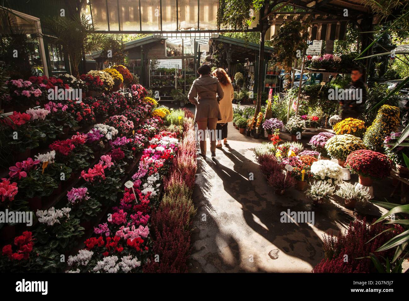 FRANCIA, PARIGI, 75004, IL MERCATO DEI FIORI DI ELIZABETH-II Foto Stock