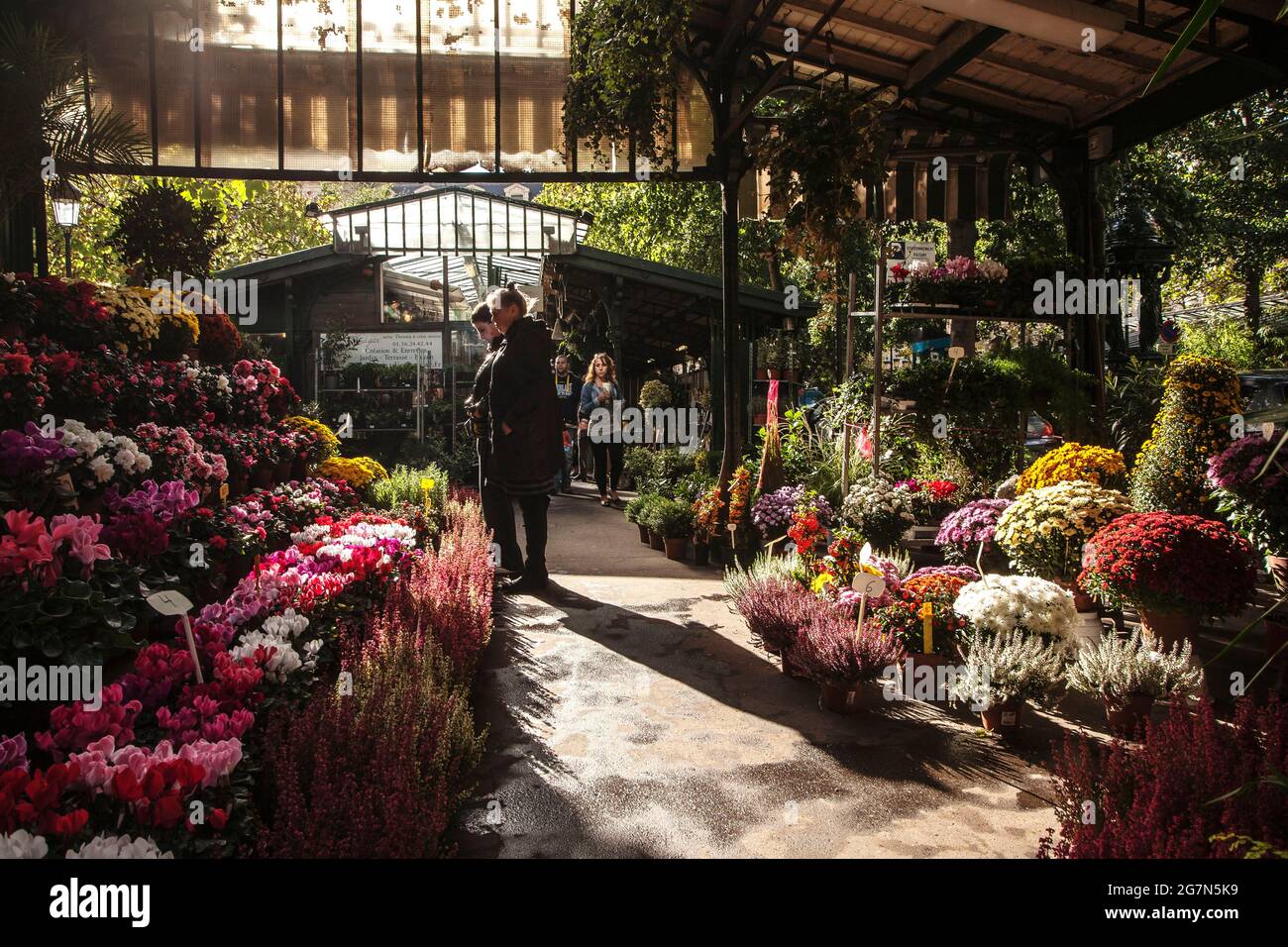 FRANCIA, PARIGI, 75004, IL MERCATO DEI FIORI DI ELIZABETH-II Foto Stock