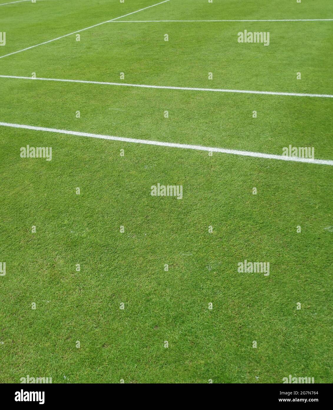 Vista sul campo da tennis in erba e linee bianche dipinte Foto Stock