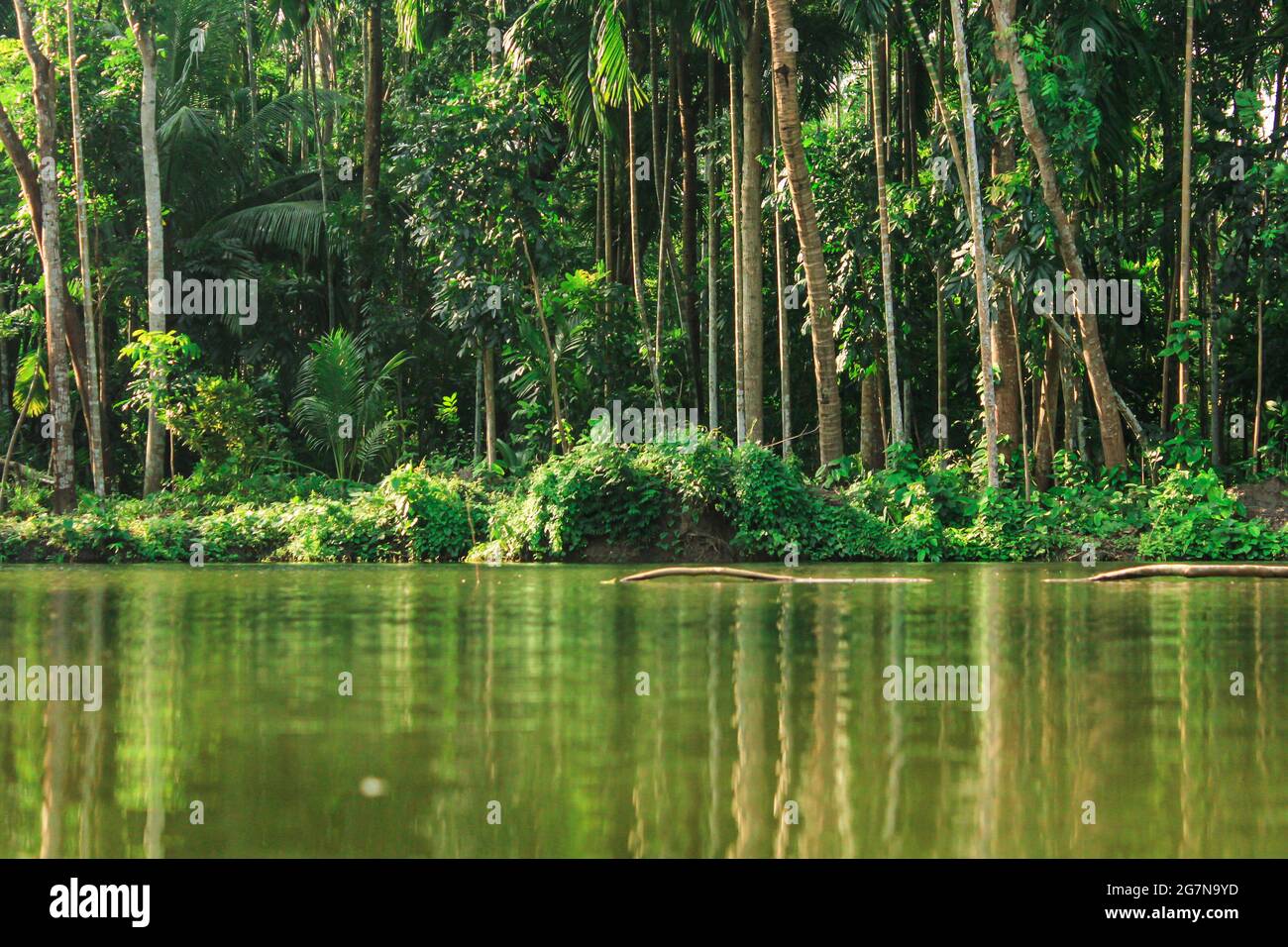 Lago del Bangladesh che dura la stagione umida Foto Stock