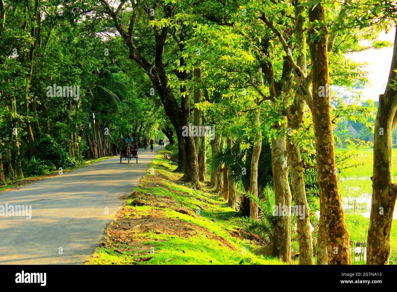 23-07-2021 a Barisal, Bangladesh, Bangladesh villaggio vista strada Foto Stock