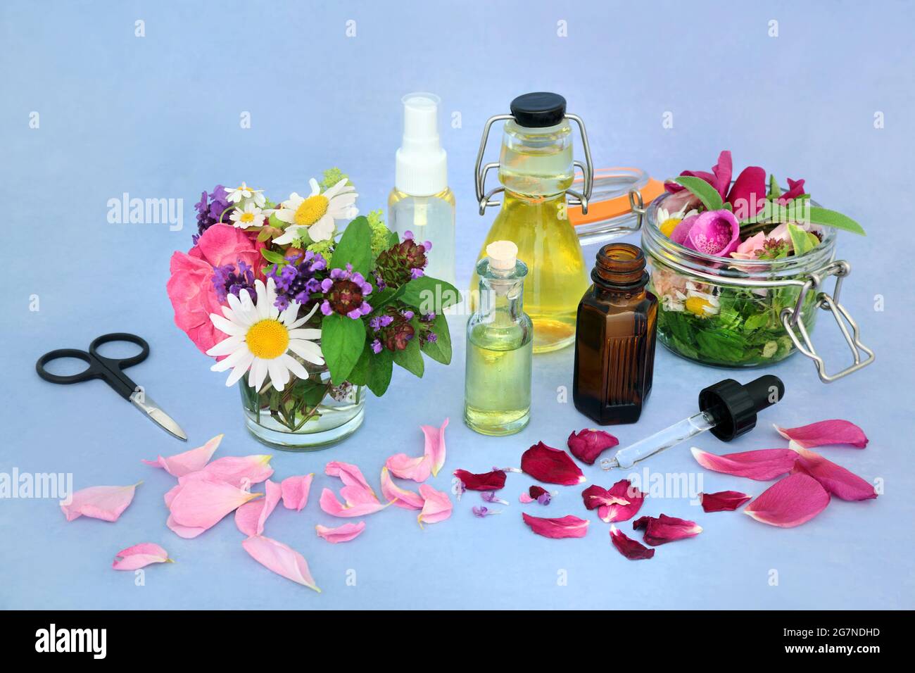 Infusione di fiori per la medicina naturale delle piante con fiori ed erbe estive, bottiglie d'olio essenziali e la flora immersa nell'olio. Foto Stock