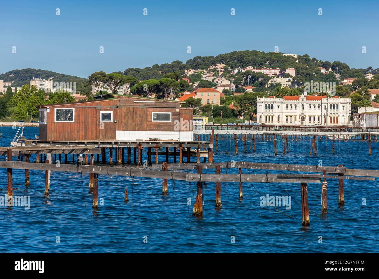 FRANCIA, VAR (83) LA SEYNE-SUR-MER, TAMARIS CORNICHE, CAPANNE SU PALAFITTE, CIRCONDATO DA MUSSEL, DARE UN'ARIA ORIENTALE BAY. Foto Stock