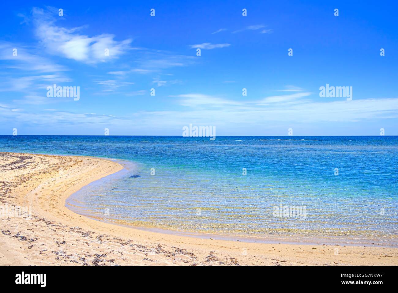 Spiaggia di Puglia: Bellissima spiaggia di sabbia con mare trasparente in Italia. Foto Stock