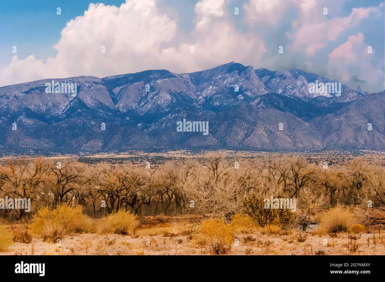 Montagne di Sandia dal fiume Rio Grande nel New Mexico Foto Stock