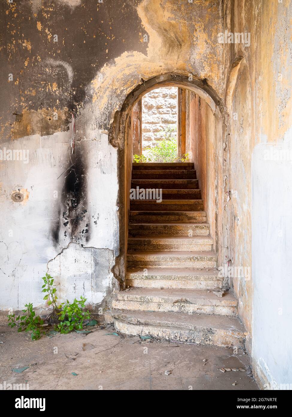 Sinagoga abbandonata di Bhamdoun in Libano Foto Stock