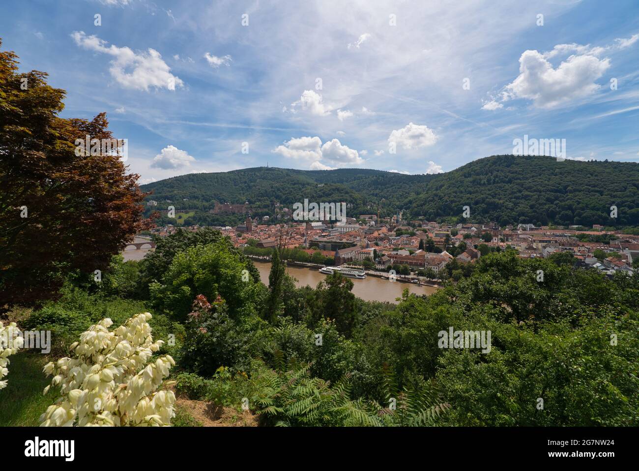 Heidelberg, Germania - una città universitaria e meta turistica popolare, il castello di Heidelberg, molto famoso Foto Stock