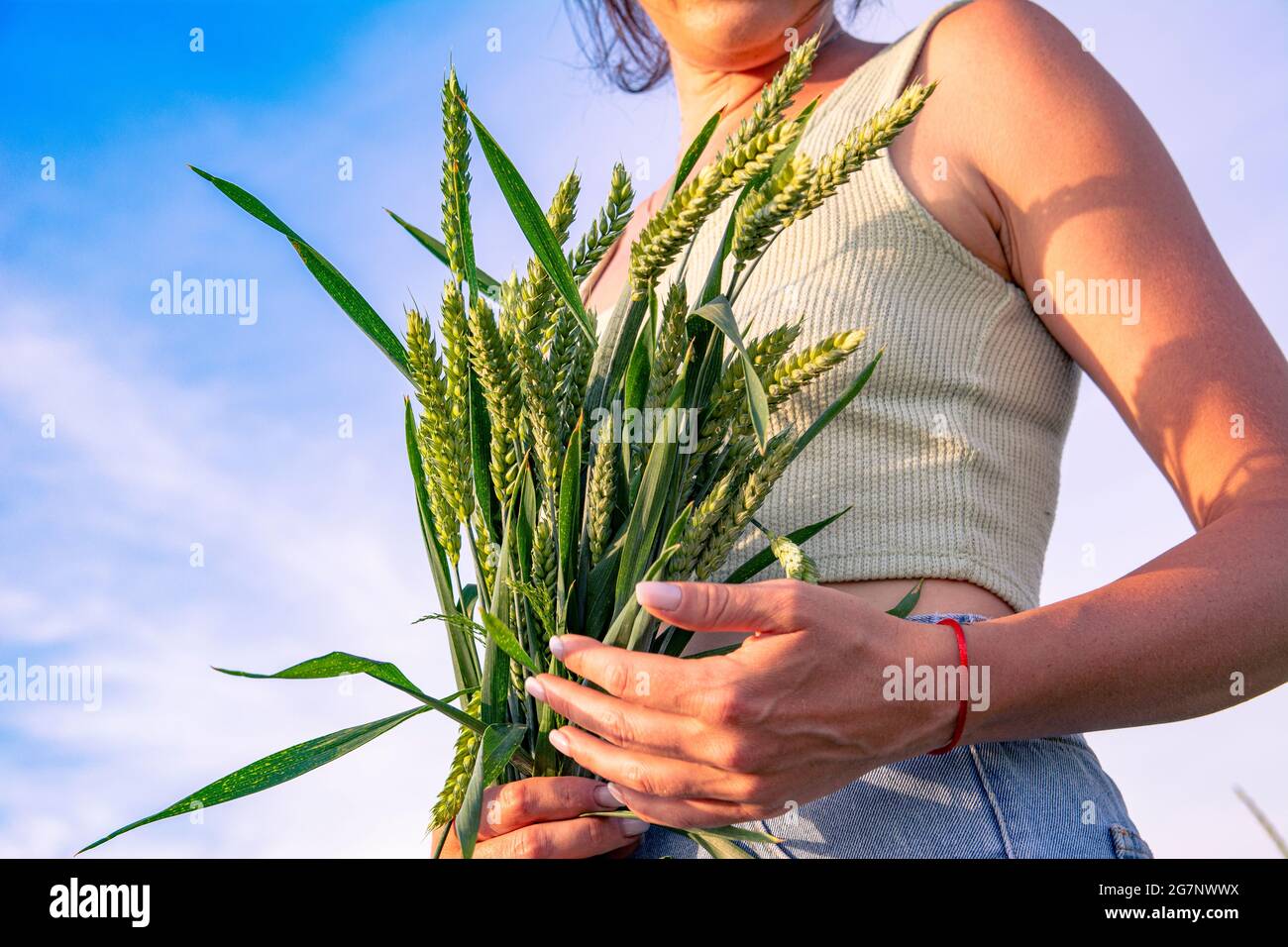 Bella ragazza caucasica in un campo di grano con un bouquet di orecchie di grano. Ragazza europea sul campo nei raggi del tramonto. Foto Stock