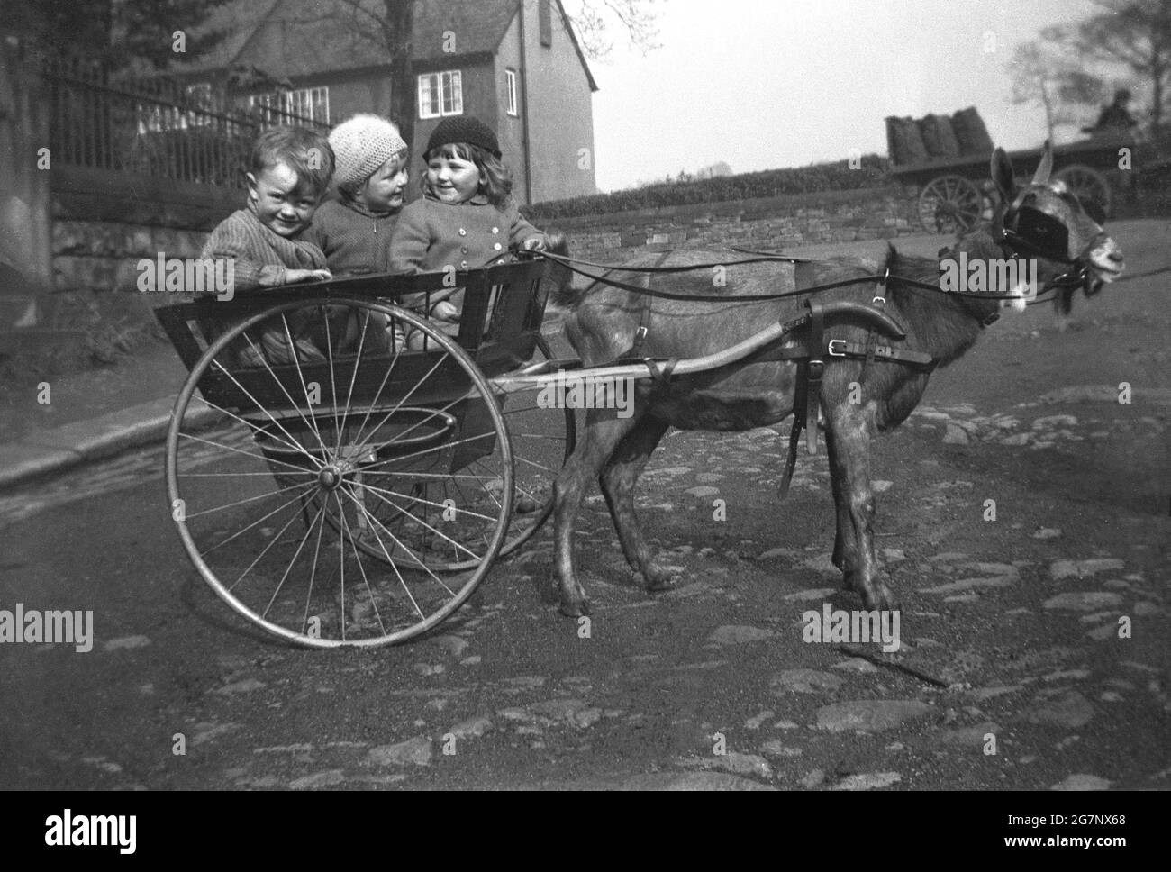 1930, storico, tre bambini giovani seduti insieme in un carro a due ruote trainato da una capra in un imbragamento, con una bambina che tiene sulle redini, Mirfield, Yorkshire, Inghilterra, Regno Unito. Come mezzo di trasporto, le capre sono state utilizzate come animali da cart o da traino da migliaia di anni, essendo più facili da manigare e lavorare con i cavalli piccoli. I carri e i carri trainati da capra erano un tempo una popolare modalità di trasporto per bambini e l'opportunità di scattare foto, poiché le capre sono animali molto orientati alla gente e durante la fine del 1800 e l'inizio del 1900 gli uomini di capra fornirebbero corse per i giovani e i turisti. Foto Stock