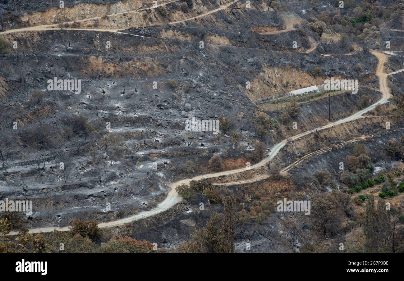 Fuoco di montagna con terra di agricoltura bruciata e foresta. Disastro dell'ambiente Foto Stock