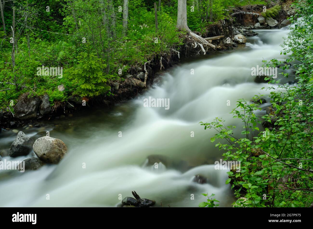 Cascate di Moul nel Wells Grey Provincial Park, British Columbia, Canada. Il fiume inizia con brevi e progressive cascate, che conducono ad una grande cascata rocciosa. Foto Stock