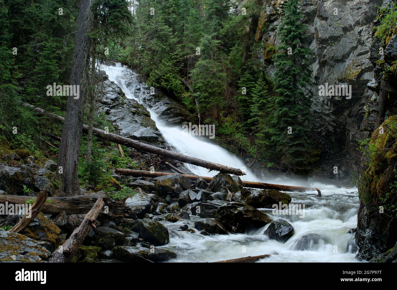 Una piccola ma potente cascata, parte di Jamieson Creek. La cascata e' a circa 30 minuti a nord di Kamloops, BC, Canada Foto Stock