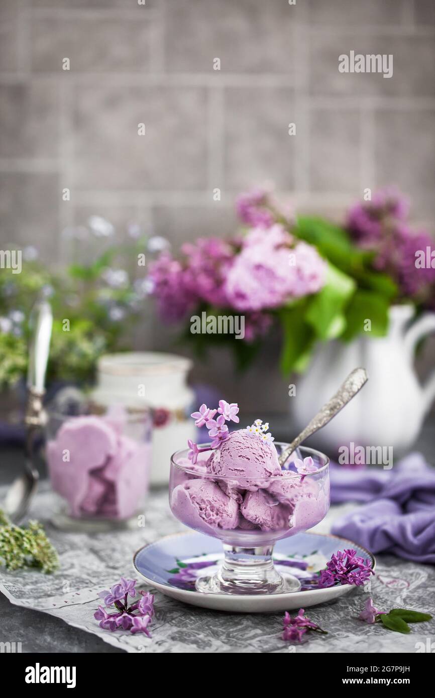 Tazza di delizioso mirtillo ricecream e lilla fatti in casa sullo sfondo Foto Stock