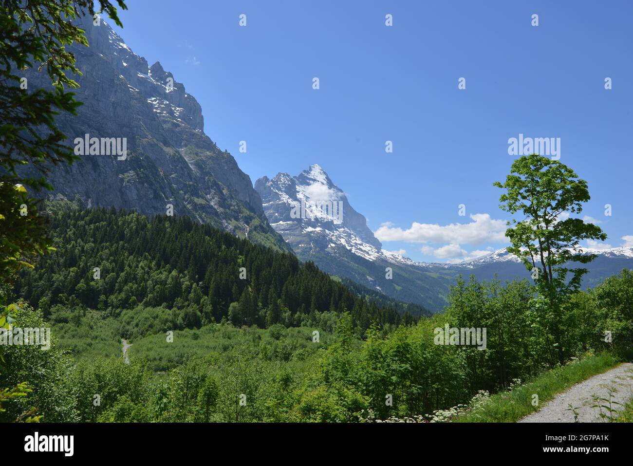 Escursione all'Helischopf con vista sulle Alpi bernesi lungo la Lütschine nera Foto Stock