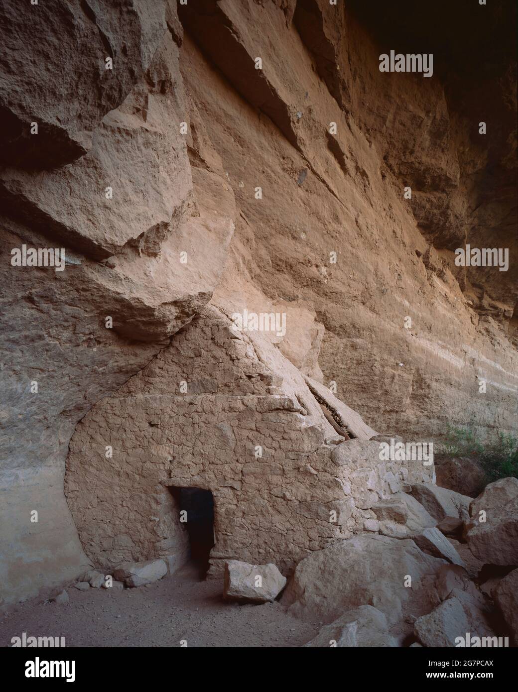 Aravaipa Canyon East Graham Co. AZ / JUNE la residenza di Turkey Creek Cliff è una delle strutture più intatte del suo genere. Era probabilmente occupato b Foto Stock