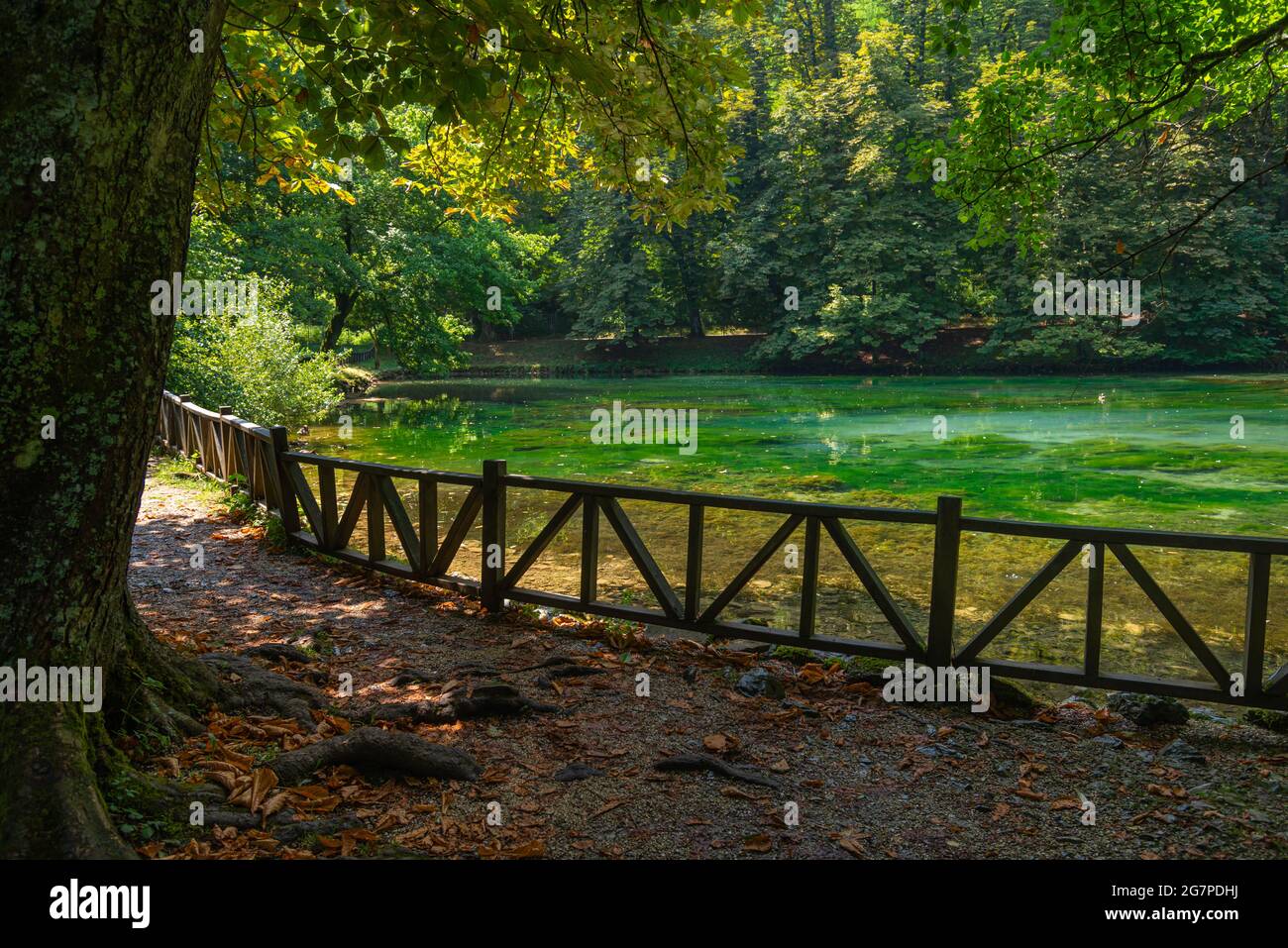 Sarajevo Bosnia Erzegovina - 10.07.2021: Ilidza Vrelo Bosne parco naturale a Sarajevo con acqua e anatre e cigni Foto Stock