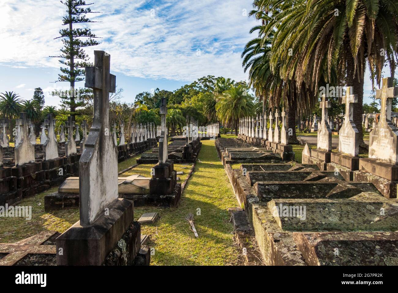 File di croci. Tombe con lapidi nel Rookwood Cemetery, Sydney, Australia, al sole del pomeriggio Foto Stock