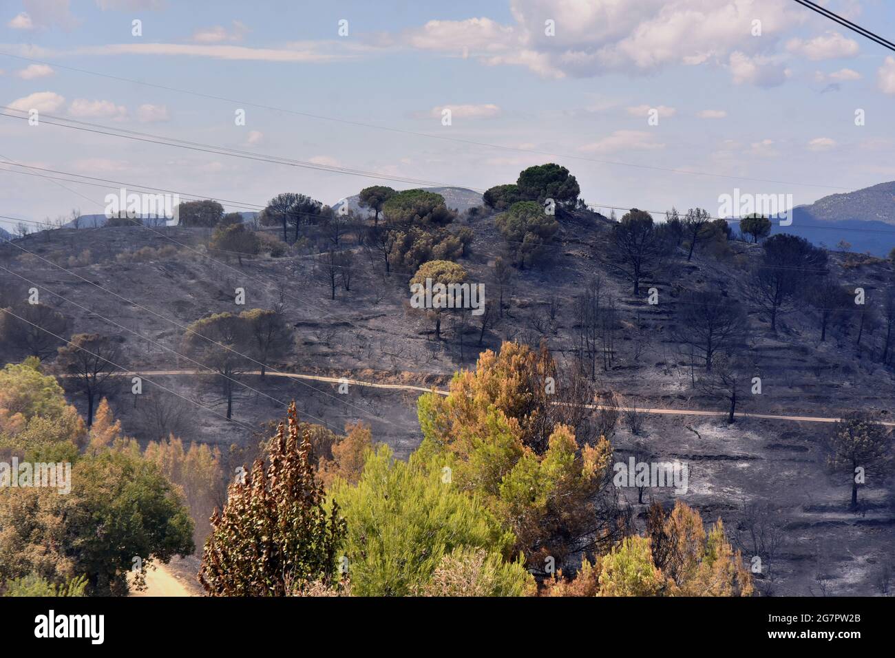 Castellvi De Rosanes, Spagna. 15 luglio 2021. Vista dell'area bruciata nel quartiere di Vall Deina durante l'aftermath.Sparked da un vicino che fa lavoro di saldatura nella sua casa, incendi boschivi bruciati più di 220 ettari. La polizia della Catalogna ha arrestato il principale sospettato e responsabile. (Foto di Ramon Costa/SOPA Images/Sipa USA) Credit: Sipa USA/Alamy Live News Foto Stock