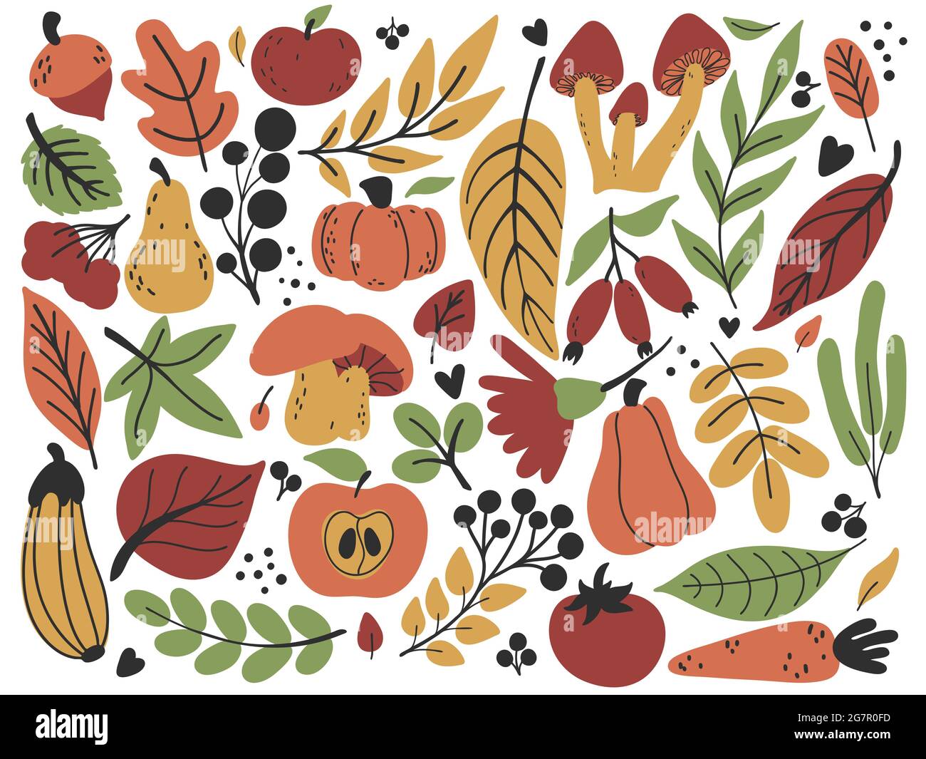 Collezione autunnale: Frutta, foglie, fiori, verdure. Set piatto autunnale disegnato a mano nei colori verde, rosso, giallo, arancione. Illustrazione vettoriale Illustrazione Vettoriale