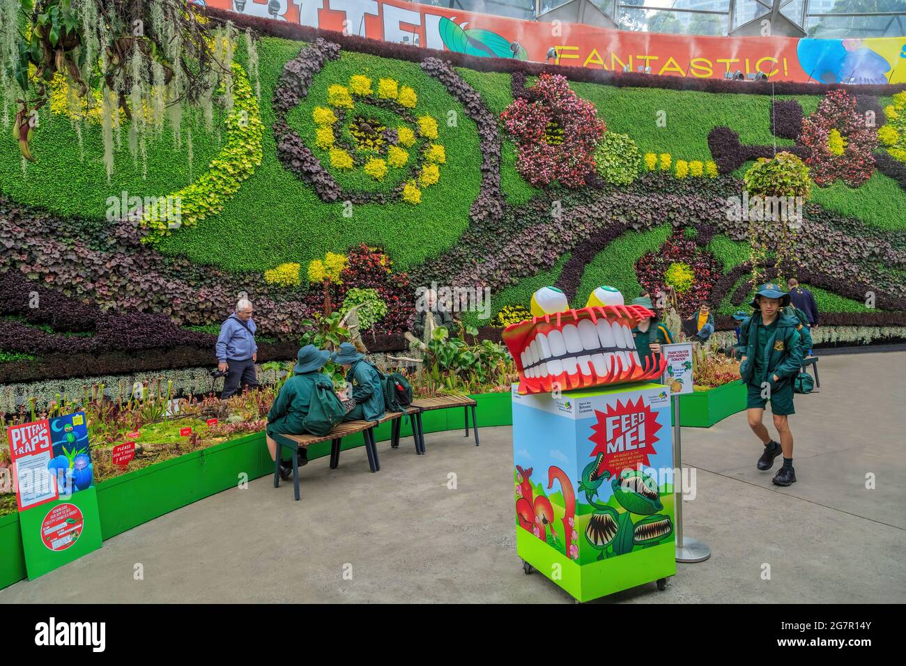 Un'esposizione di piante carnivore e una parete verde all'interno del 'Calyx', un luogo per eventi nel Royal Botanic Garden, Sydney, Australia Foto Stock