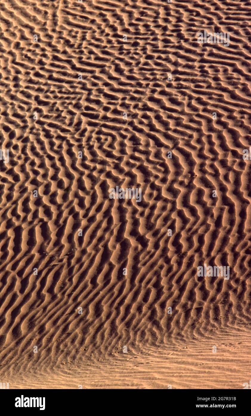 Onde in una duna modellata dal vento, deserto di Simpson, Australia centrale. Foto Stock