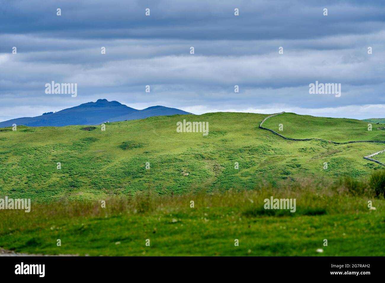 Vista della legge di Rubers dal campo di Stobs vicino a Hawick ai confini scozzesi. Sito di una stazione di segnale romana. Foto Stock
