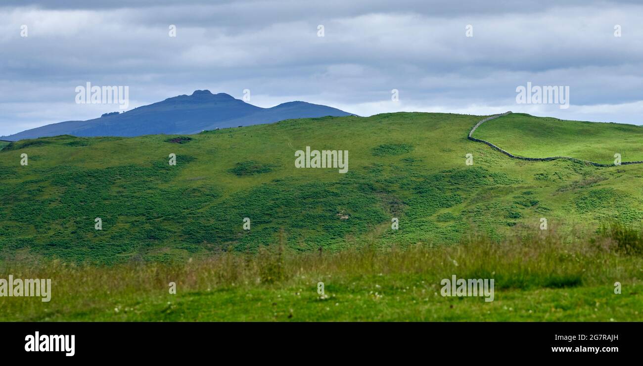 Vista della legge di Rubers dal campo di Stobs vicino a Hawick ai confini scozzesi. Sito di una stazione di segnale romana. Foto Stock