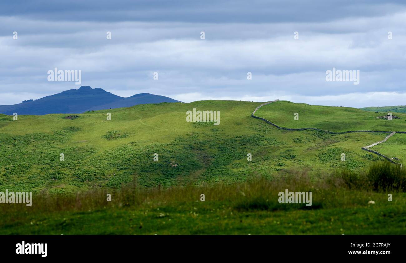 Vista della legge di Rubers dal campo di Stobs vicino a Hawick ai confini scozzesi. Sito di una stazione di segnale romana. Foto Stock