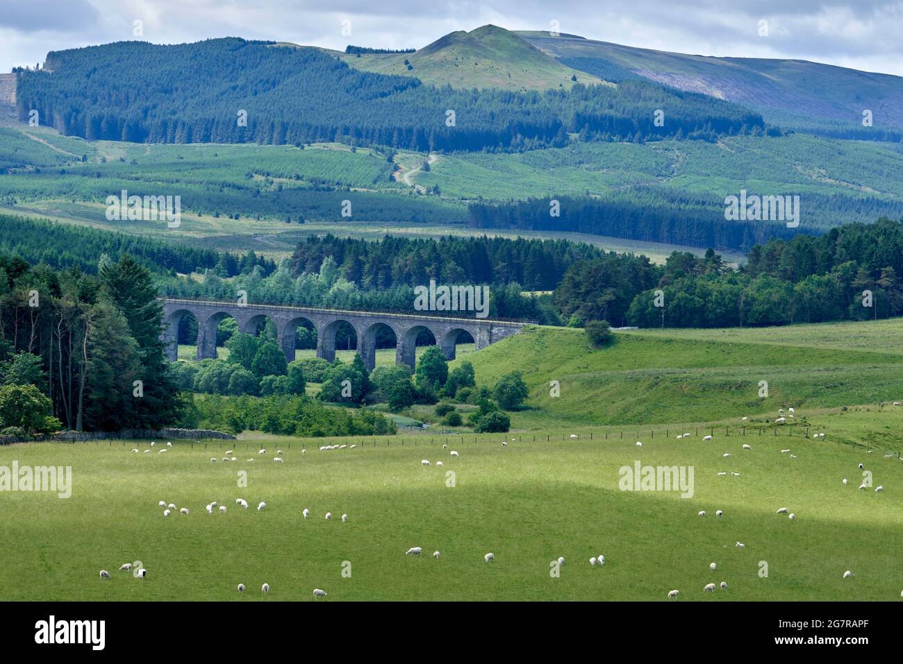 Shankend Viadotto 10 miglia a sud di Hawick. Attualmente disutilizzato, ma può essere ripristinato se la Waverley Line viene estesa da Tweedbank a Carlisle. Foto Stock